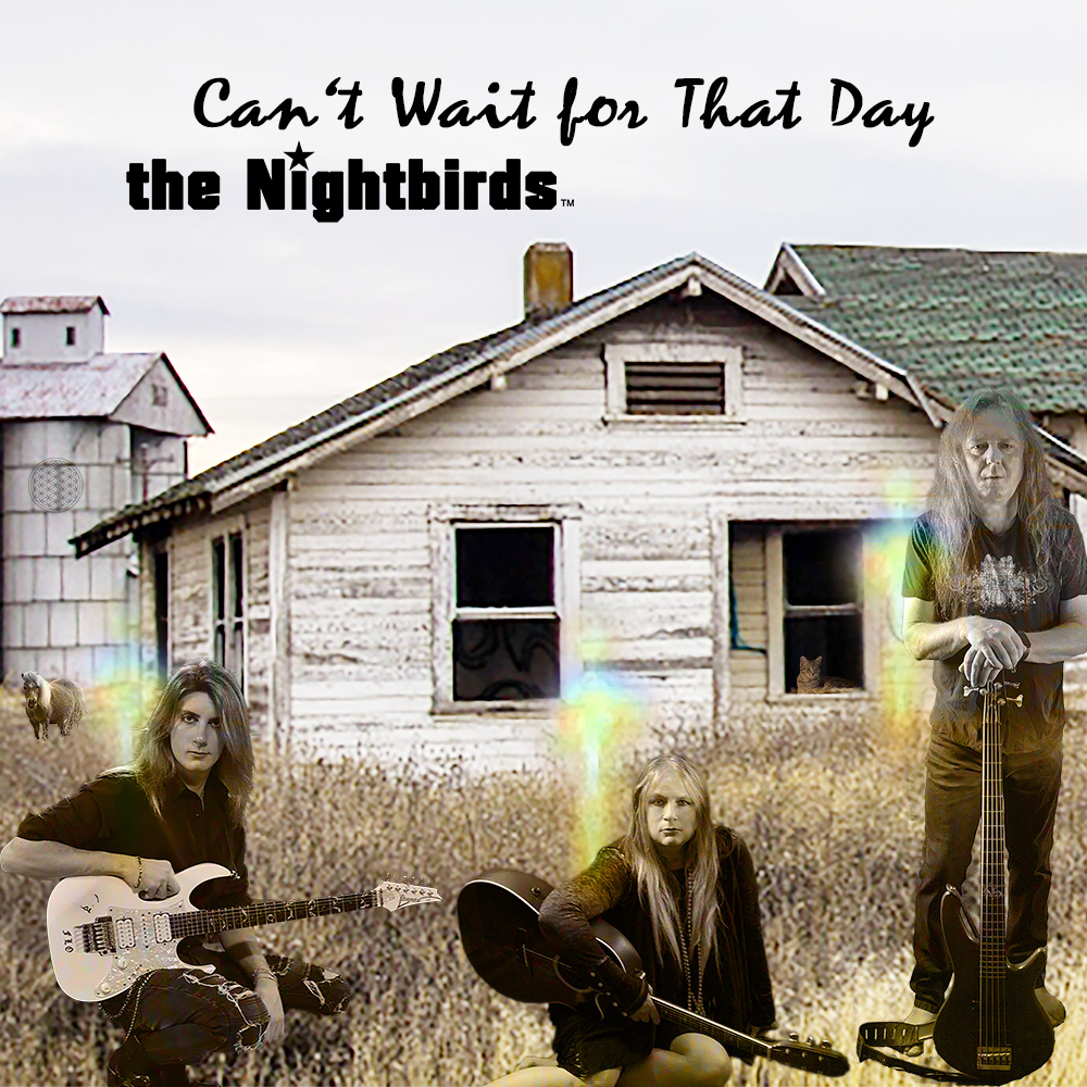 The Nightbirds Can't Wait for That Day