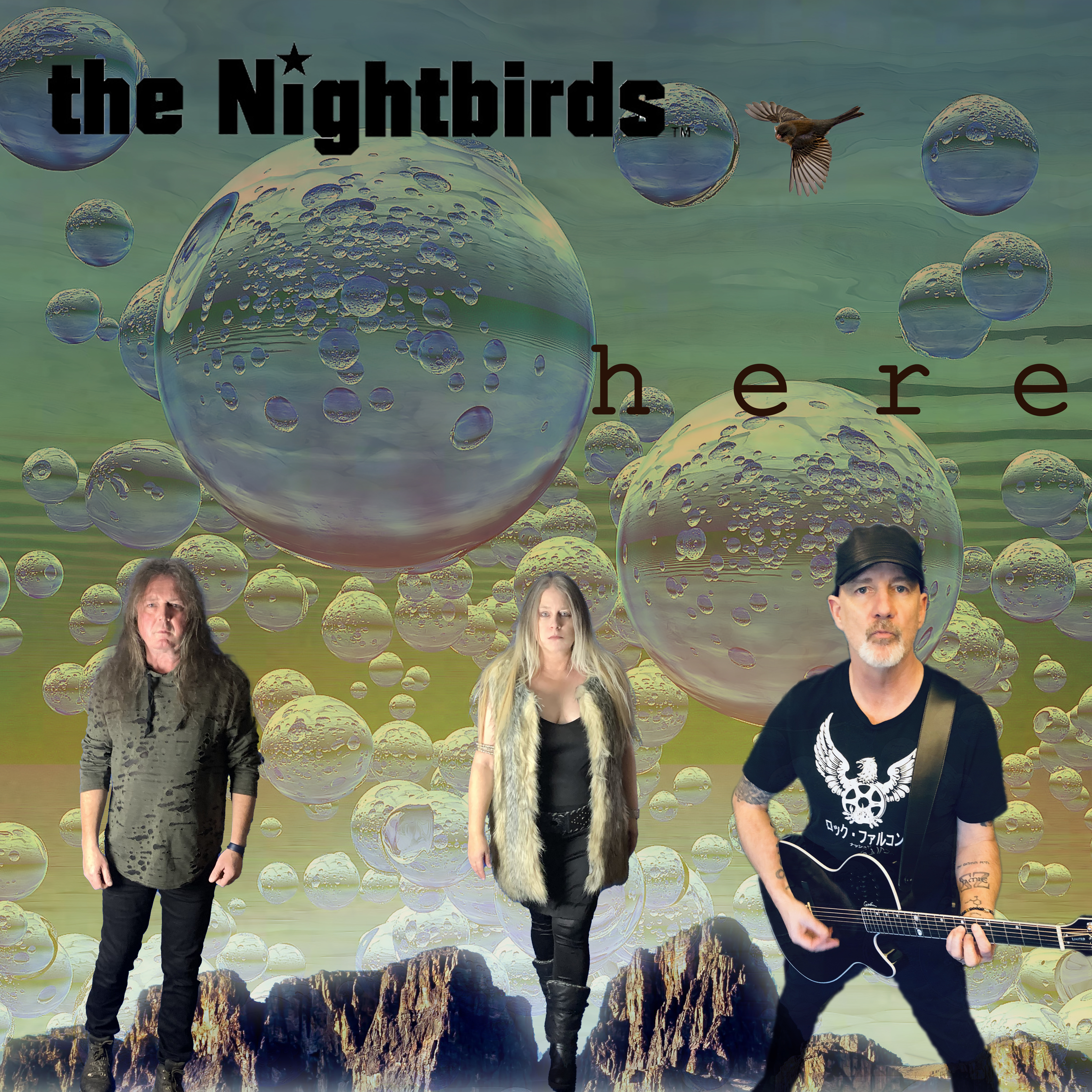 The Nightbirds Band Here